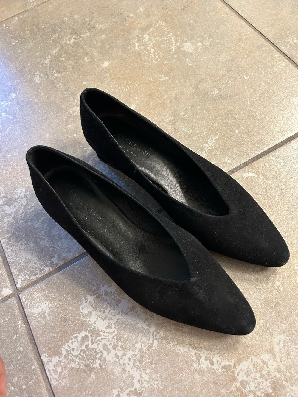 Everlane Black Pointed Suede Flats